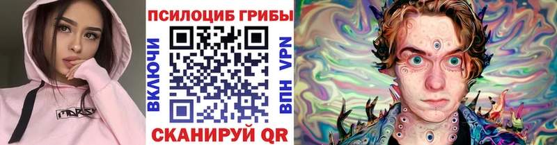 где найти   Армянск  Галлюциногенные грибы Psilocybine cubensis 